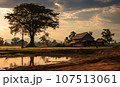 Rural Asia  107513061