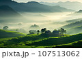 Rural Thailand  107513062