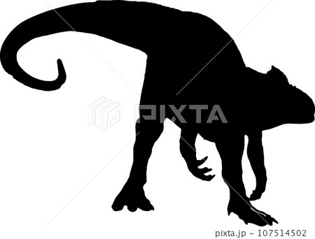 Allosaurus black silhouette isolated background 107514502