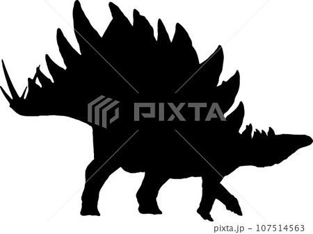 stegosaurus black silhouette isolated background stegosaurus black silhouette isolated background 107514563