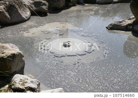 別府温泉の鬼坊主地獄の湯煙 別府温泉の鬼坊主地獄の湯煙 107514660