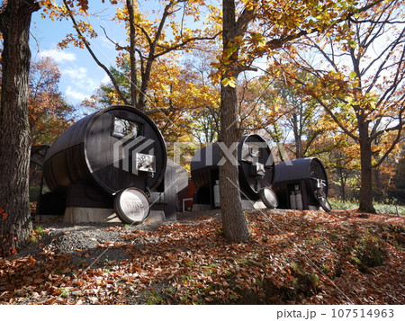 十勝まきばの家　ワイン樽サウナ 107514963