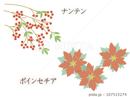 南天とポインセチア 南天とポインセチア 107515274