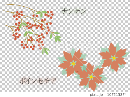 南天とポインセチア 南天とポインセチア 107515274