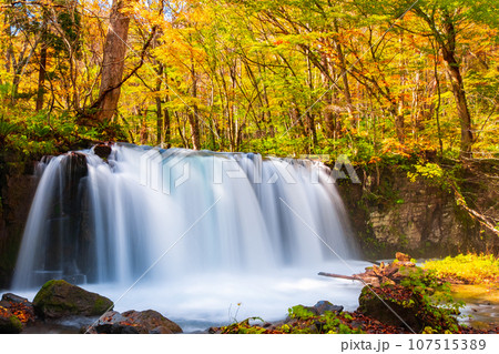 奥入瀬渓流(秋):銚子大滝 奥入瀬渓流(秋):銚子大滝 107515389