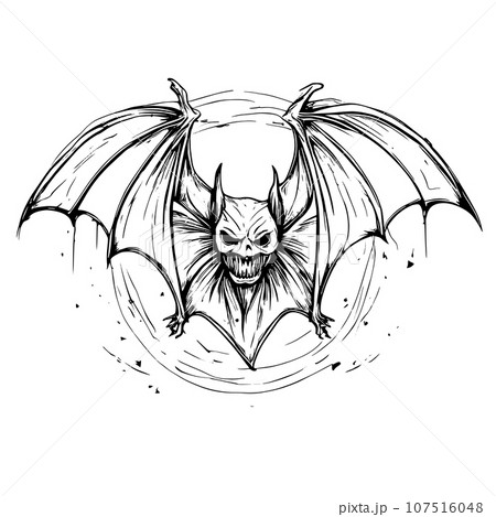 Halloween scary bat flying sketch close-up Halloween scary bat flying sketch close-up 107516048