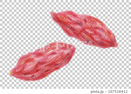 Hand-drawn illustration of sweet potato drawn with colored pencils Hand-drawn illustration of sweet potato drawn with colored pencils 107516412