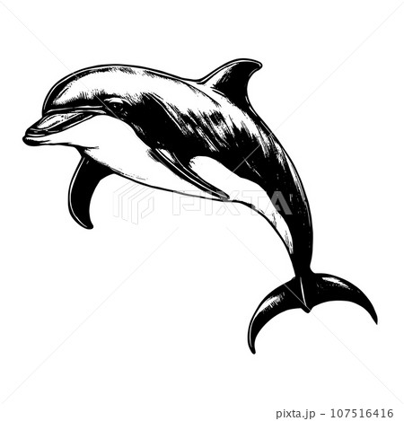 dolphin vector animal illustration for design. Sketch tattoo design on white background 107516416