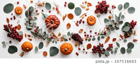 Thanksgiving day or Halloween concept banner. Top view white background decor from pumpkin, red berry, green leaves with copy space. autumn and fall season background. Thanksgiving day or Halloween concept banner. Top view white background decor from pumpkin, red berry, green leaves with copy space. autumn and fall season background. 107516683