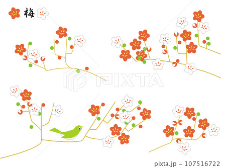 かわいい梅の花のイラスト かわいい梅の花のイラスト 107516722
