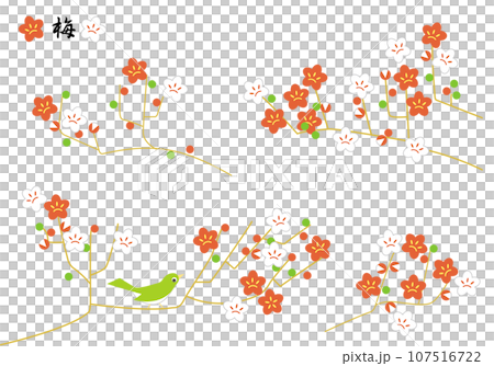 かわいい梅の花のイラスト かわいい梅の花のイラスト 107516722