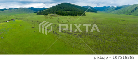 Beautiful forest wetland landscape in Sichuan,China Beautiful forest wetland landscape in Sichuan,China 107516868