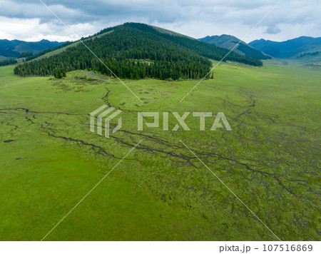 Beautiful forest wetland landscape in Sichuan,China Beautiful forest wetland landscape in Sichuan,China 107516869