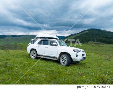 Trip in the high altitude beautiful grassland and flowers, China 107516874