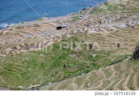 白米の千枚田は田植えの準備中で大忙し 107518138