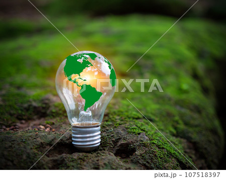 Concept of renewable energy, environmental protection, and sustainable renewable energy sources. Green world map on a light bulb set on a background with green moss. Green energy. 107518397