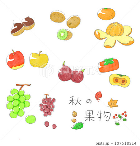 秋の果物セット 107518514