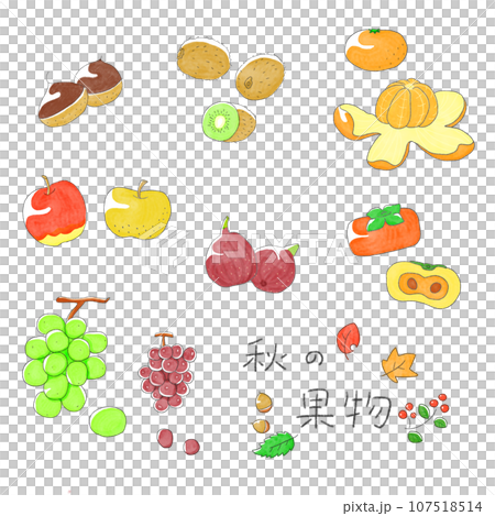 秋の果物セット 107518514