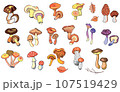 Collection of isolated edible and inedible fungus, vector illustration 107519429