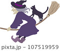 紫の服で黒猫と箒に乗って空を飛ぶ悪い魔女のかわいいおしゃれなベクターイラスト 左向き 107519959