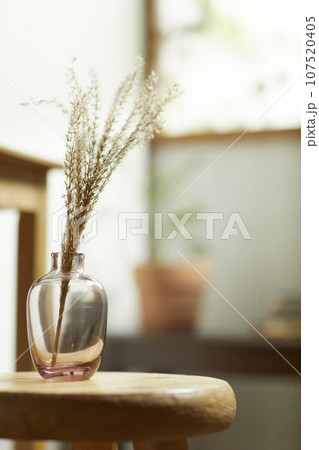 A comfortable room where warm afternoon sunlight comes in through a window with a view of tree leaves. 107520405