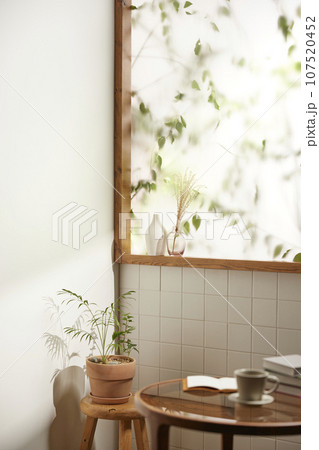 A comfortable room where warm afternoon sunlight comes in through a window with a view of tree leaves. 107520452