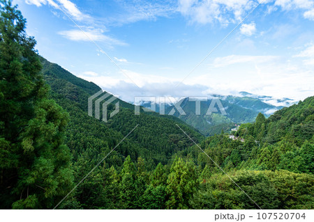 祖谷渓 徳島 大歩危祖谷 祖谷渓 徳島 大歩危祖谷 107520704