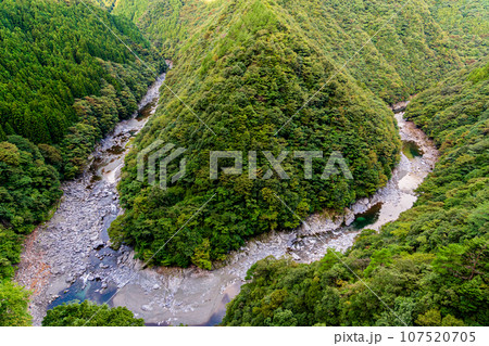 祖谷渓　徳島　大歩危祖谷　ひの字渓谷 107520705
