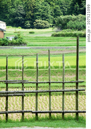 馬防柵(近景) 馬防柵(近景) 107521099