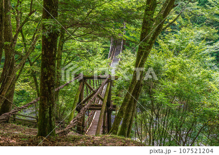 奥祖谷二重かずら橋 徳島県三好市 奥祖谷二重かずら橋 徳島県三好市 107521204