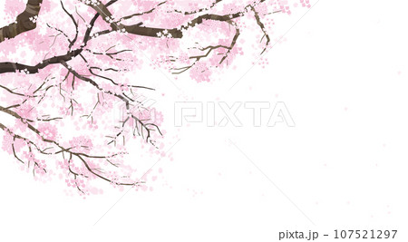 桜の木の背景イラスト 107521297