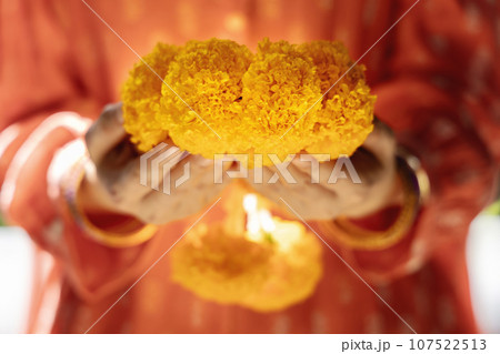 Hindu Ceremonies, Rituals, Spirituality, Religion and Hope Concept. Woman Holdings Marigold Flowers , Respect and Surrender. Garlands are offered to Honor Gods and Goddesses. Symbol of Humility, 107522513