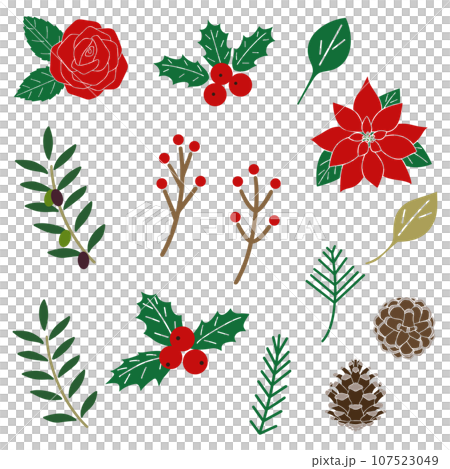 Christmas, winter decoration, botanical illustration set, vector Christmas, winter decoration, botanical illustration set, vector 107523049