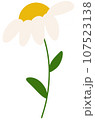 Flowers 107523138