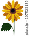 Flowers 107523139