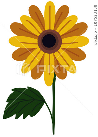 Flowers 107523139
