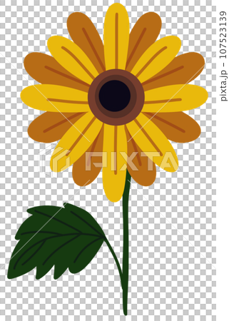 Flowers 107523139