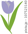 Flowers 107523140