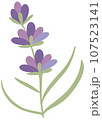 Flowers 107523141