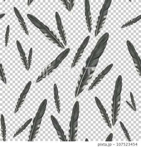 Seamless pattern watercolor illustration of cuckoo feathers, isolated on a transparent background hand drawn Seamless pattern watercolor illustration of cuckoo feathers, isolated on a transparent background hand drawn 107523454