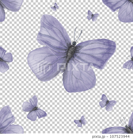 Seamless pattern of watercolor illustration of a male lilac butterfly Gonepteryx rhamni. Made by hand on a transparent background Seamless pattern of watercolor illustration of a male lilac butterfly Gonepteryx rhamni. Made by hand on a transparent background 107523944