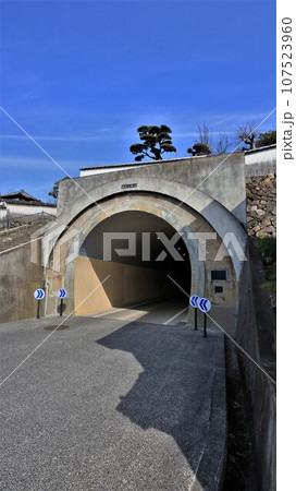 鶴形山隧道（岡山県倉敷市） 107523960