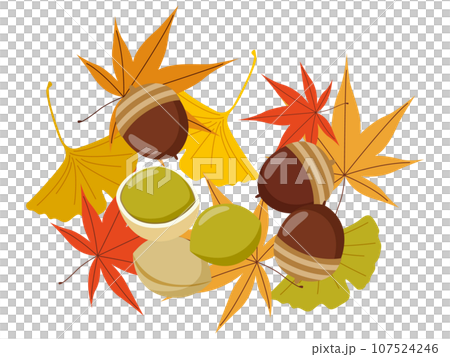 ドングリとぎんなんと落ち葉のワンポイントイラスト 107524246