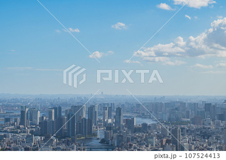 東京 東京都 都市風景 107524413