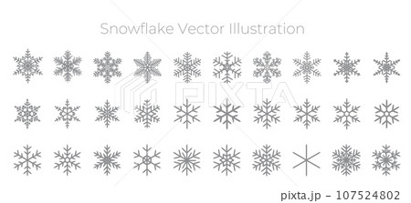 シルバーの雪の結晶のベクターイラストセット 107524802