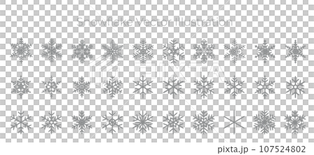 シルバーの雪の結晶のベクターイラストセット 107524802