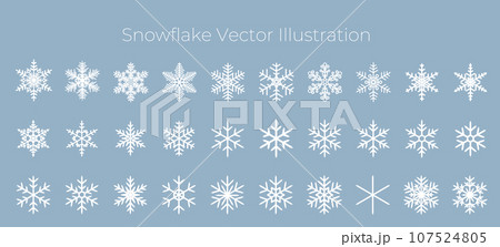 白い雪の結晶のベクターイラストセット 白い雪の結晶のベクターイラストセット 107524805