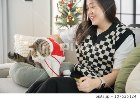 asian woman play with her scottish cat during derorate christmas and new year in living room 107525124