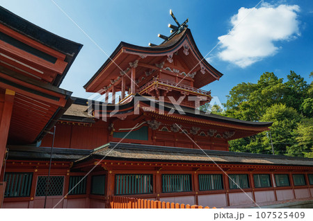 静岡 富士山本宮浅間大社 本殿 静岡 富士山本宮浅間大社 本殿 107525409