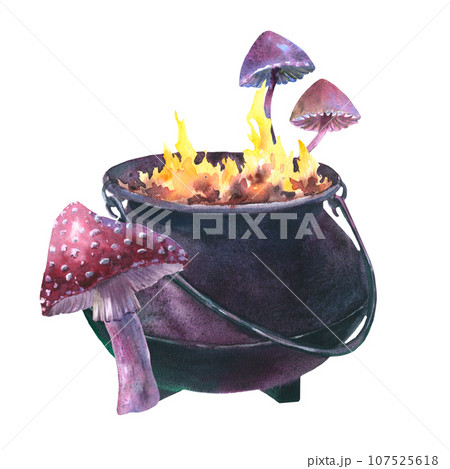 Watercolor Witch Cauldron with Fly agaric and toxic mushrooms. Hand painted illustration of Caldron with fire for Halloween clip art. Isolated sketch on white background 107525618